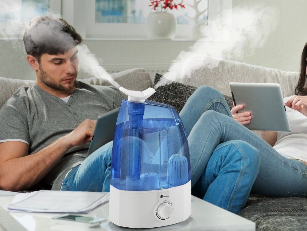 5 Best Humidifiers for Dry Skin Reviewed in Detail (Winter 2024)