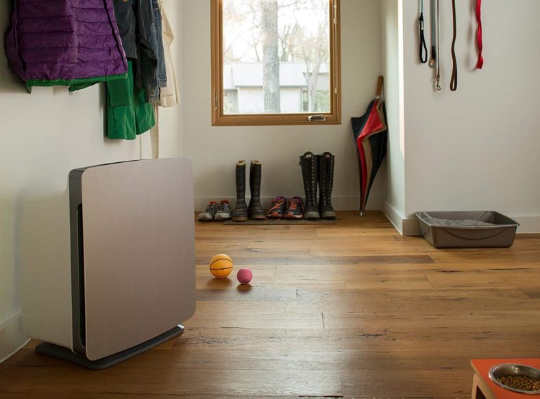 10 Best Air Purifiers for Pets Reviewed in Detail (Winter 2024)