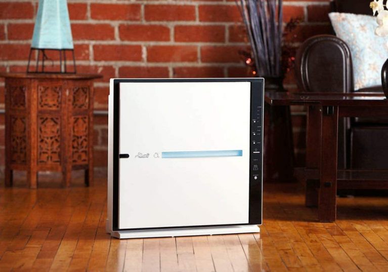 5 Quietest Air Purifiers Reviewed in Detail (Winter 2024)