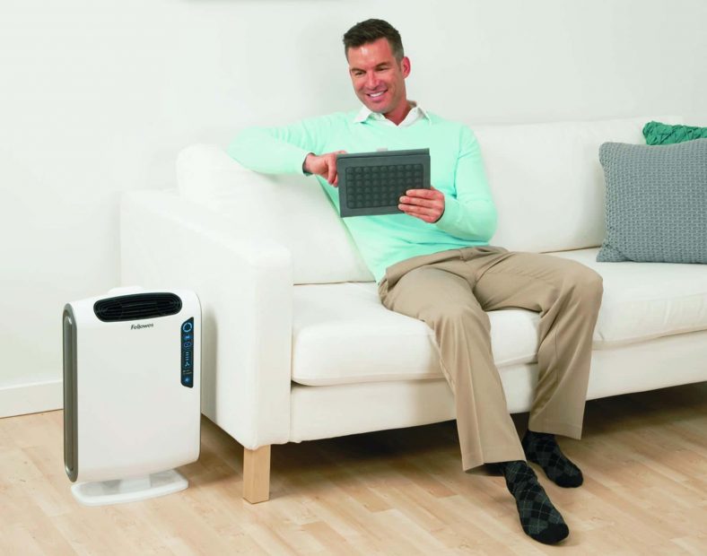 5 Best Basement Air Purifiers Reviewed in Detail (Winter 2024)