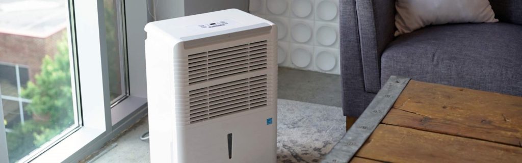 5 Best Dehumidifiers for Mold and Mildew Removal — Say Hello to a Healthy Home Air!