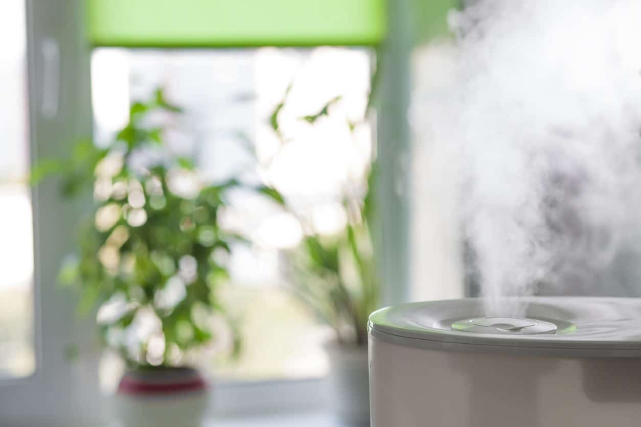 5 Best Steam Humidifiers Reviewed in Detail (Winter 2024)