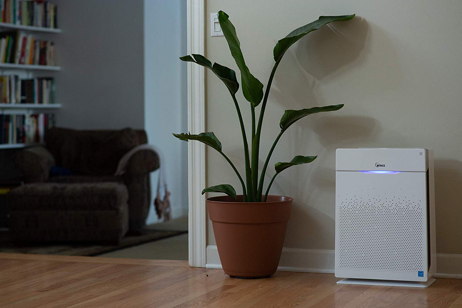 8 Best Air Purifiers for Odors Reviewed in Detail (Winter 2024)