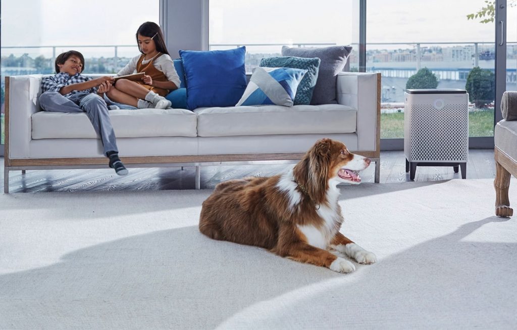 10 Best Air Purifiers for Pet Owners — No More Hair and Dander!