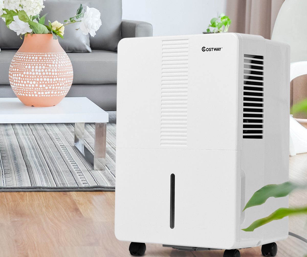 6 Best Whole House Dehumidifiers Reviewed in Detail (Fall 2023)