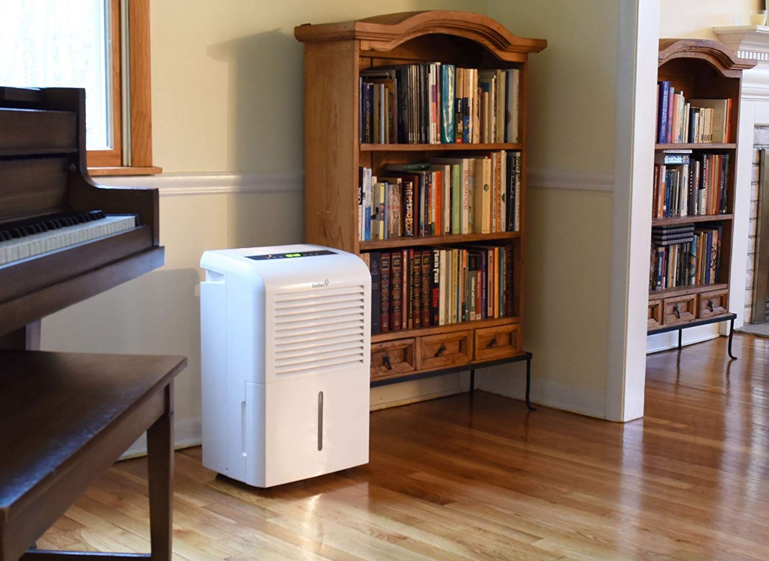 6 Best Whole House Dehumidifiers Reviewed in Detail (Fall 2023)