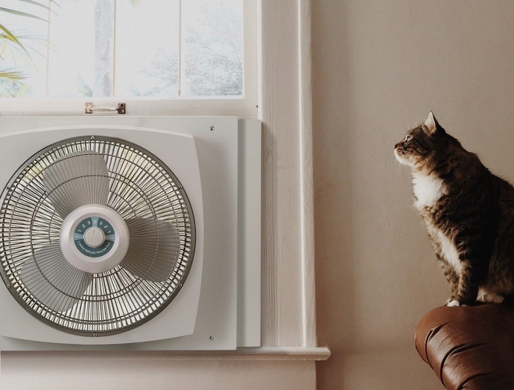5 Best Window Fans to Fill Your Home with the Desired Coolness (Spring 2023)