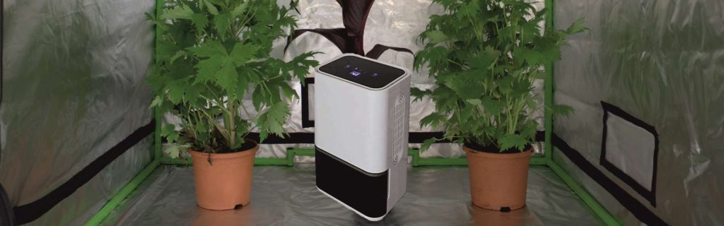 10 Best Dehumidifiers for Grow Tent - The Best for Your Plants!