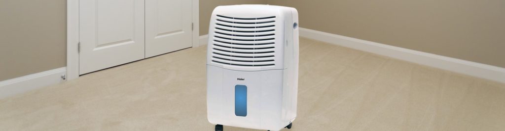 5 Best Haier Dehumidifiers to Provide Your Home with That Ideal Air Quality You Need (Spring 2023)