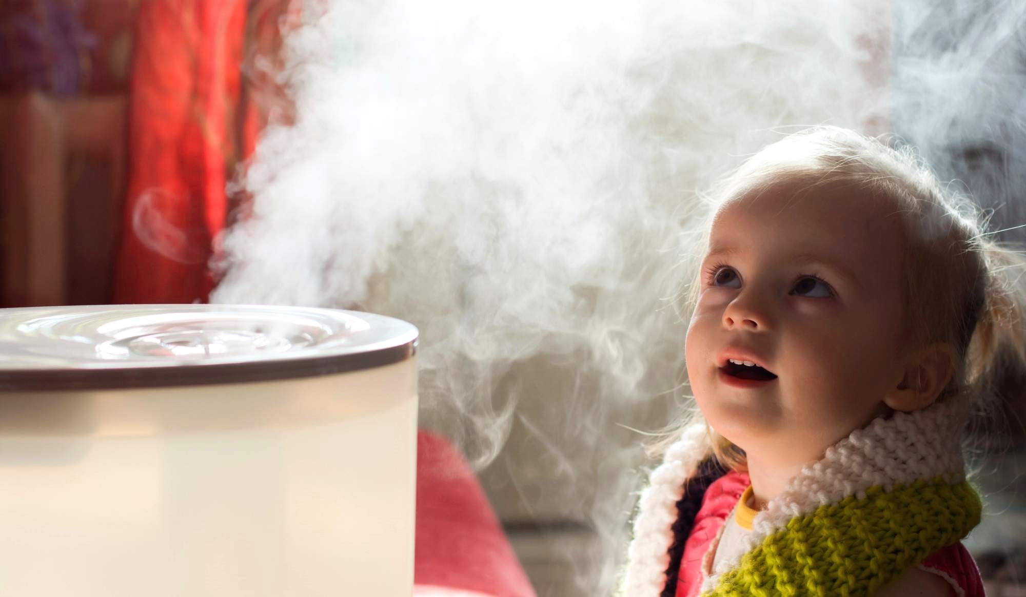 7 Best Ultrasonic Humidifiers Reviewed in Detail (Winter 2024)