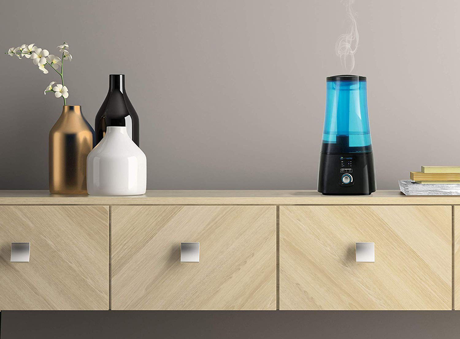 5 Best Humidifiers for Eczema Reviewed in Detail (Winter 2024)