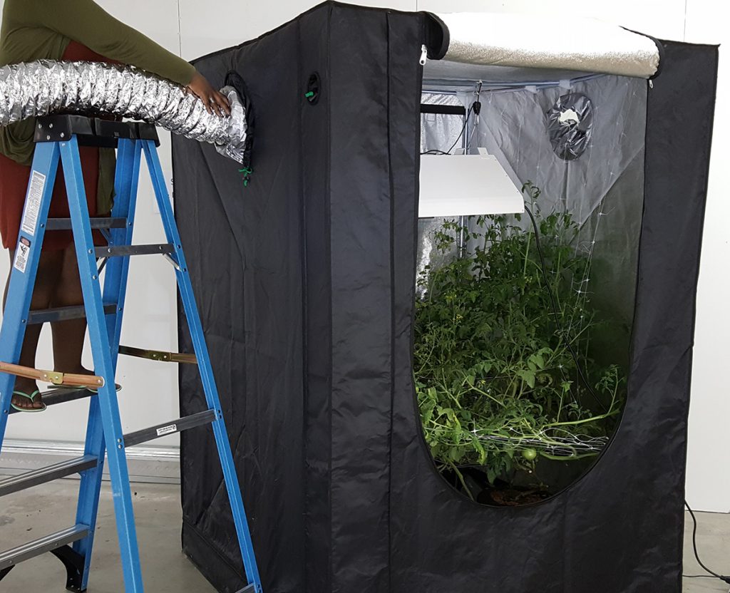 10 Best Dehumidifiers for Grow Tent - The Best for Your Plants! (Summer 2022)