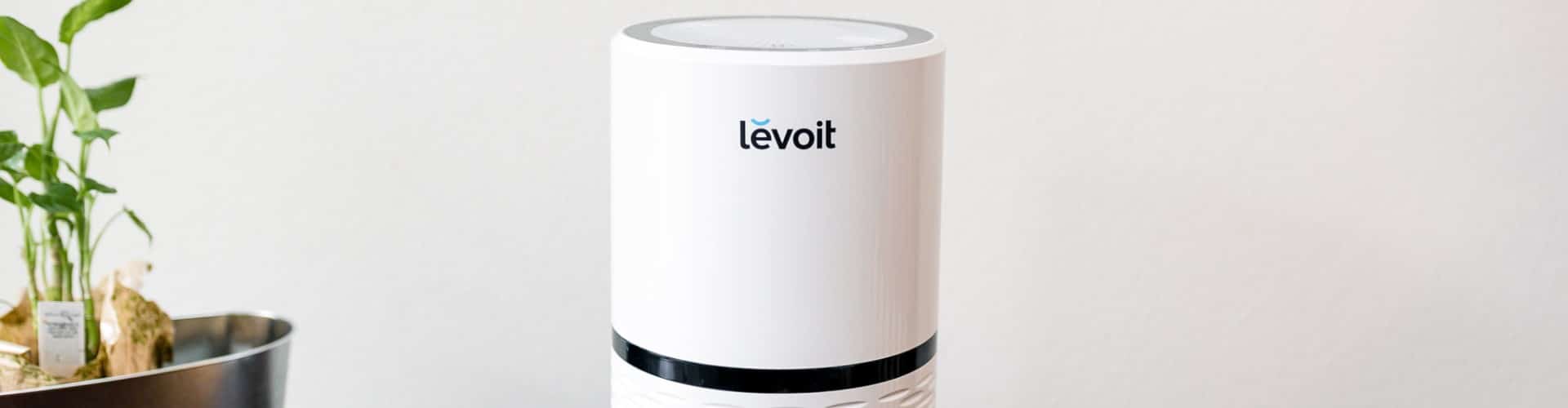 5 Best Levoit Air Purifiers Reviewed in Detail (Fall 2023)