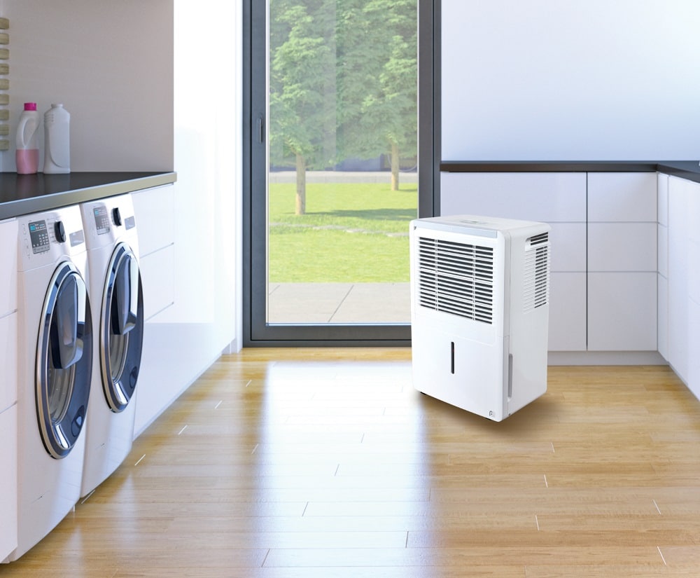 5 Best Perfect Aire Dehumidifiers Reviewed in Detail (Winter 2024)