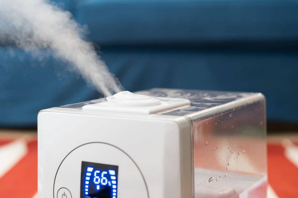 10 Best Fantastic Humidifiers - Increase the Moisture in the Air! (Spring 2023)