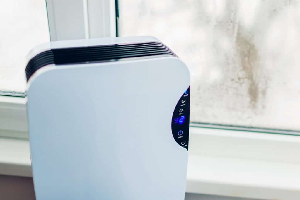 10 Best Dehumidifiers - Achieve Perfect Humidity Level! (Fall 2022)