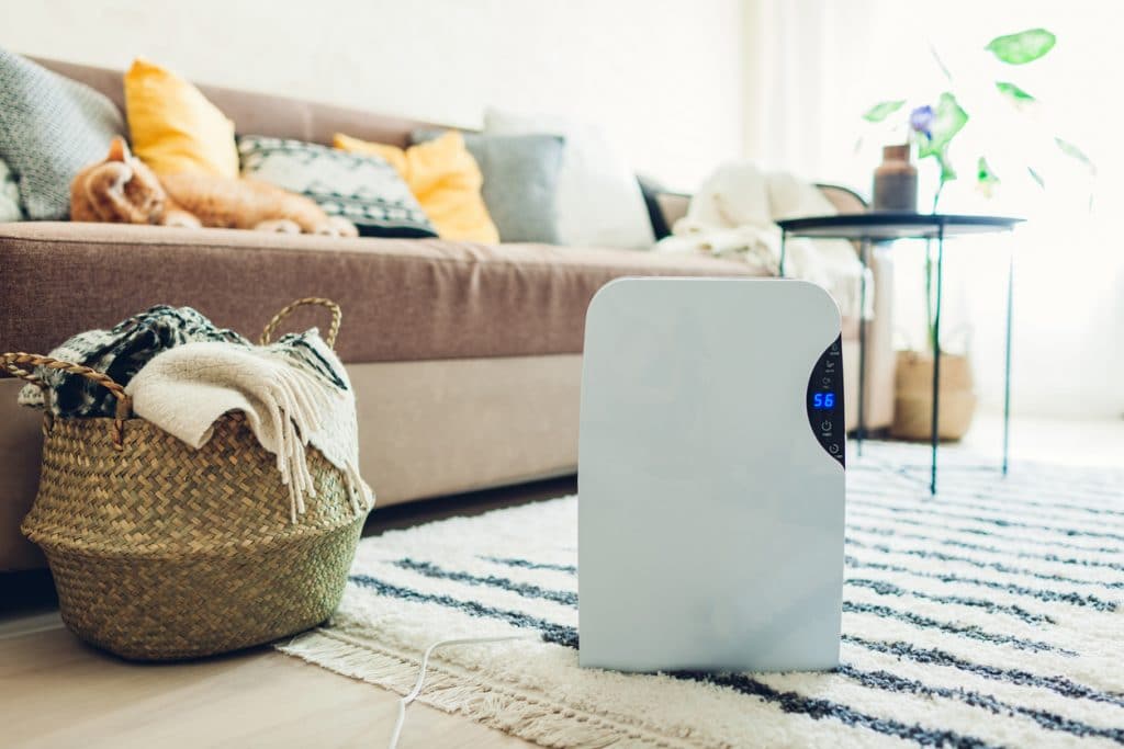 What Size Dehumidifier Do I Need (Spring 2023)