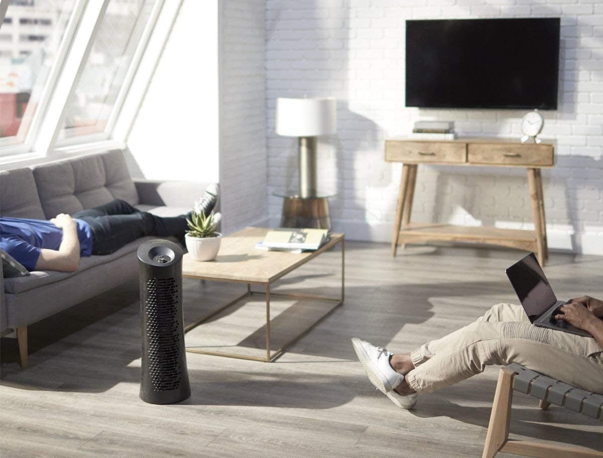 6 Best Honeywell Air Purifiers (Winter 2024) The Complete Guide