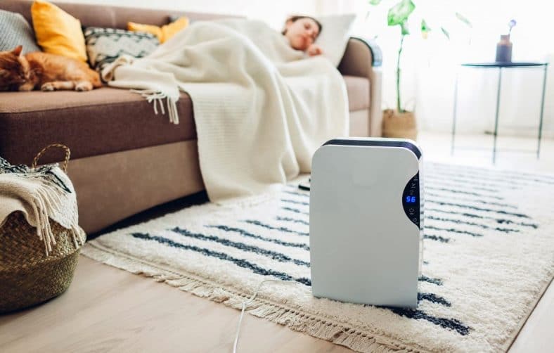 How Does a Dehumidifier Work? Explained in Detail