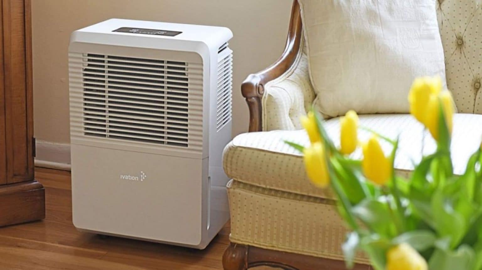 5 Best EnergyEfficient Dehumidifiers (Fall 2023) The Complete Guide