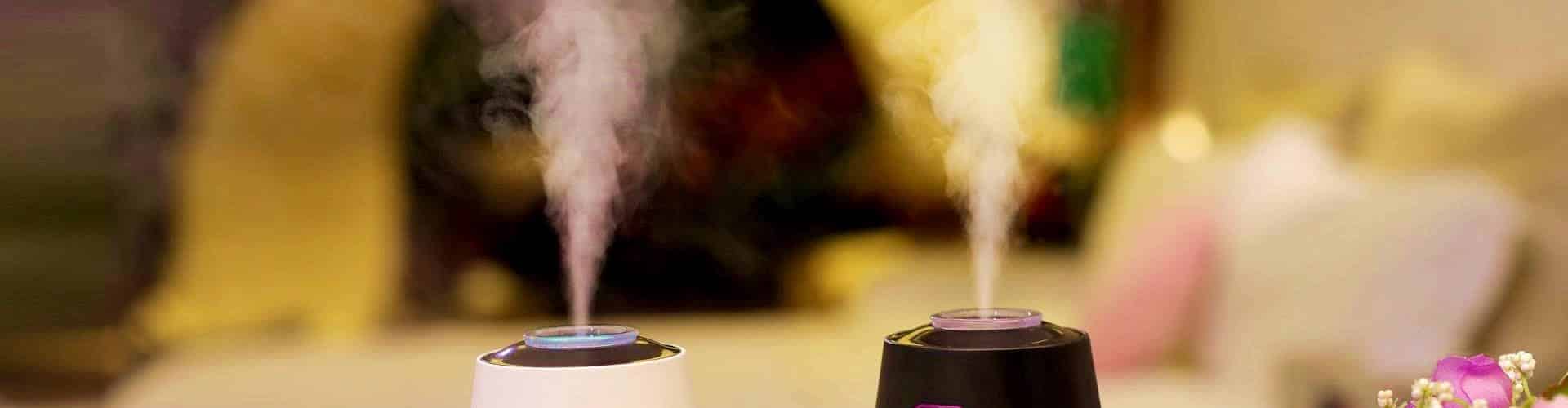 Humidifier Vs Diffuser Which to Choose?