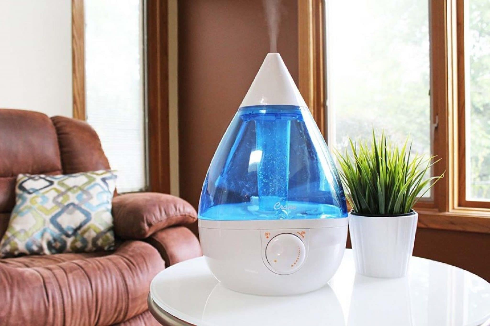 Humidifier Vs Diffuser Which to Choose?