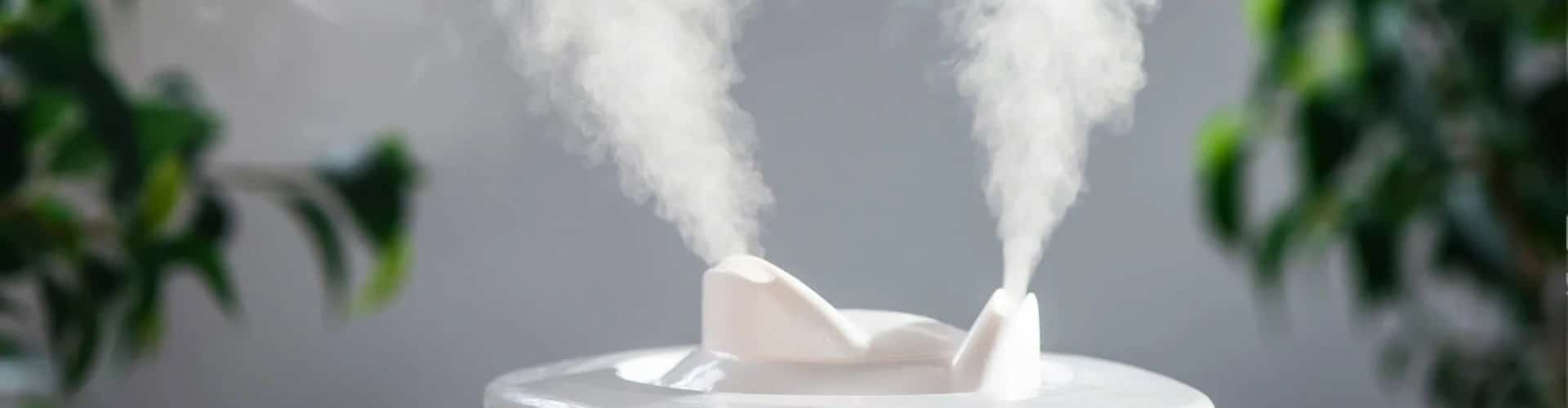 Humidifier Vs Vaporizer Which to Choose?