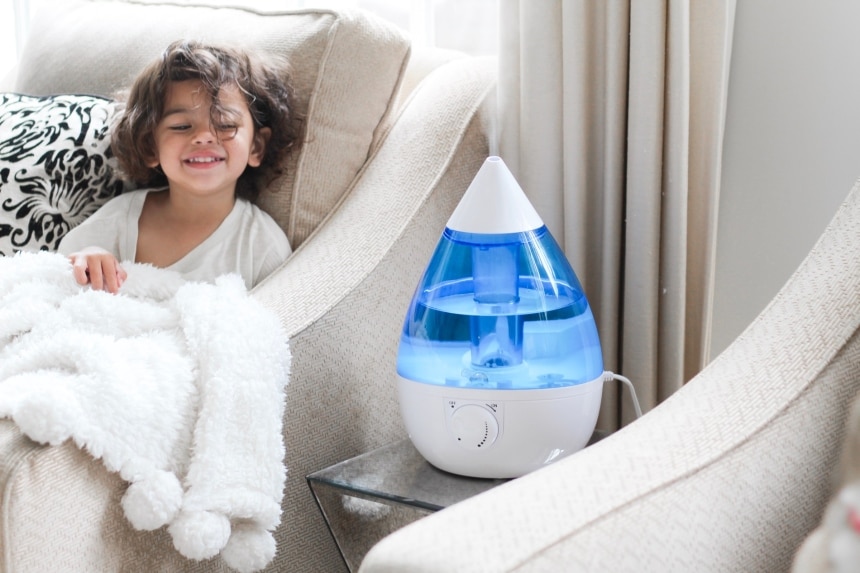 6 Best Crane Humidifiers - Low Humidity Is Not Just about Discomfort (Summer 2022)