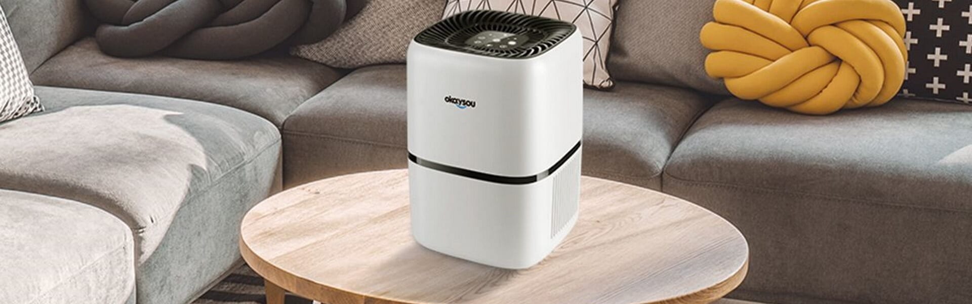 6 Best Air Purifiers for Paint Fumes (Winter 2024) — The Complete Guide