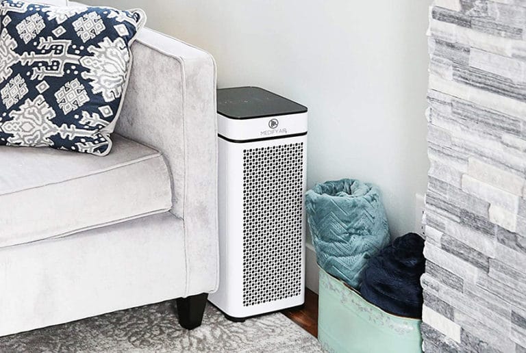 5 Best Air Purifiers for Traffic Pollution (Winter 2024) — The Complete