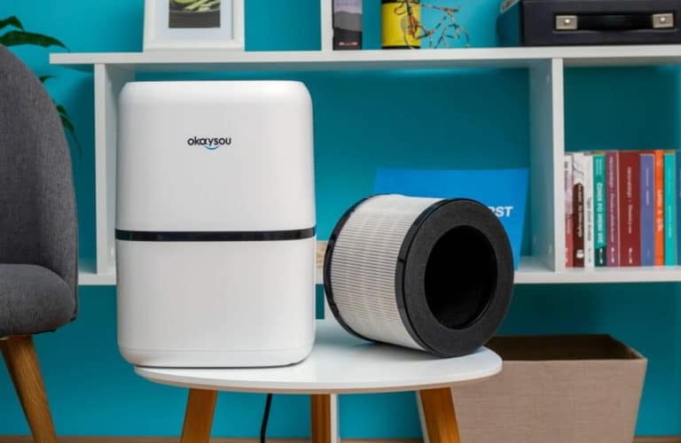 6 Best Air Purifiers for Paint Fumes (Winter 2024) — The Complete Guide