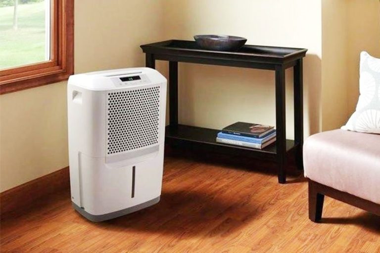 3 Best homeLabs Dehumidifiers (Winter 2024) The Complete Guide