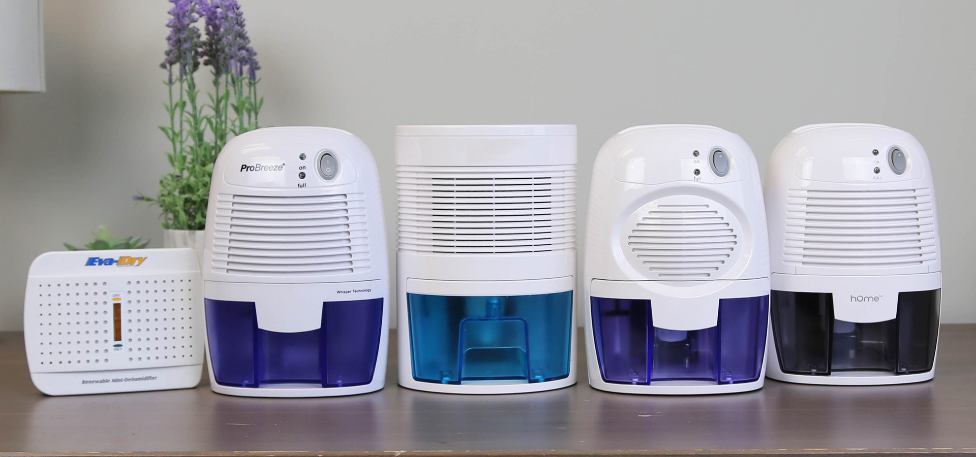 5 Best Dehumidifiers under 100 (Winter 2024) The Complete Guide
