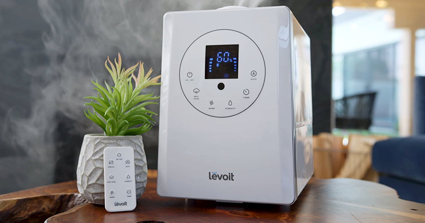 6 Best Humidifiers for Plants — Help Your Home Garden Flourish! (Summer 2022)