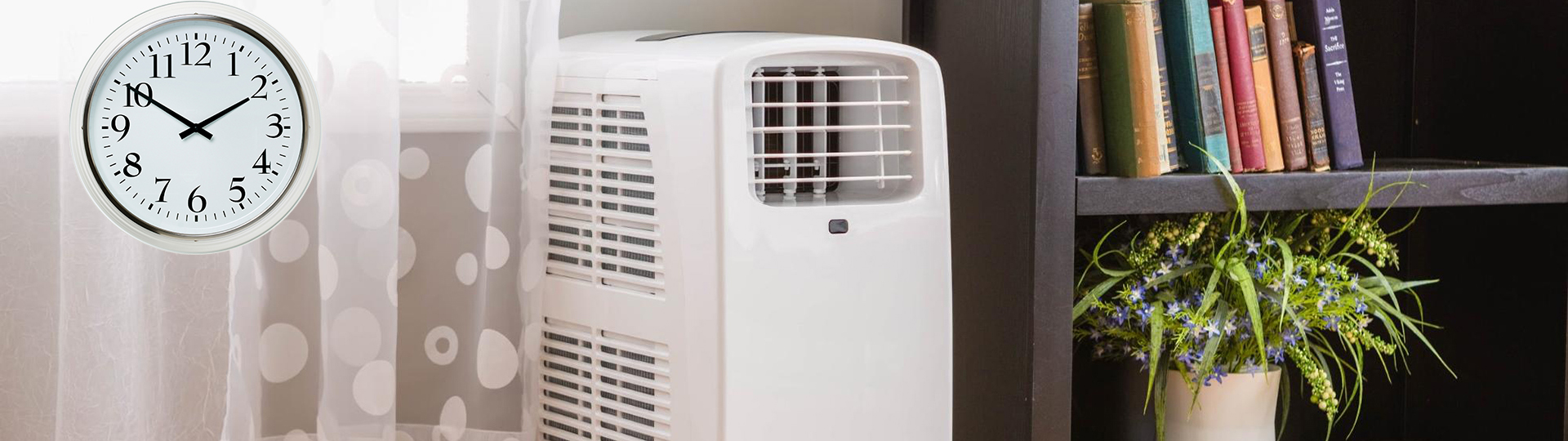 How Long Should a Dehumidifier Run per Day? Indetail Information