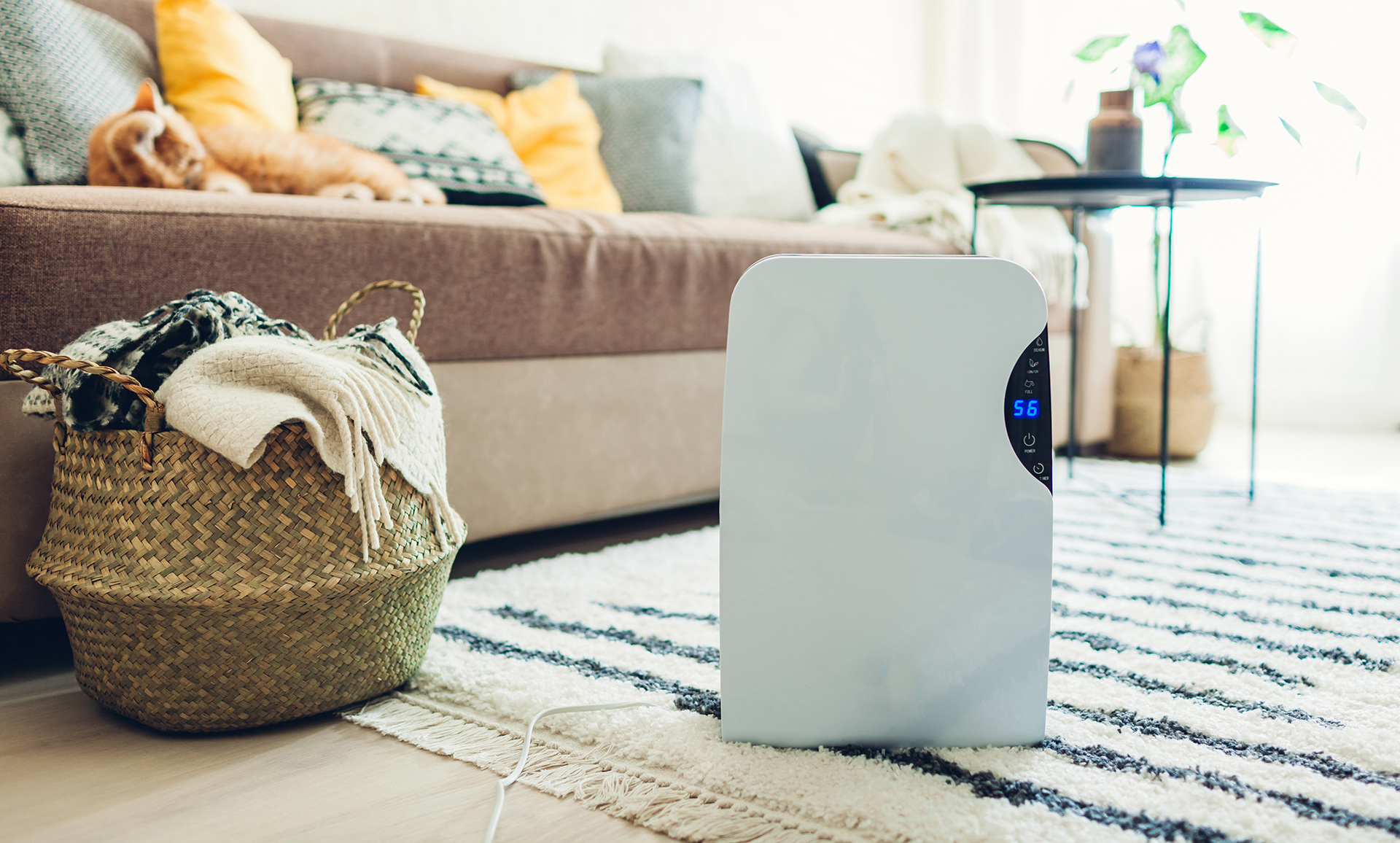 When to Use a Dehumidifier? Indetail Information