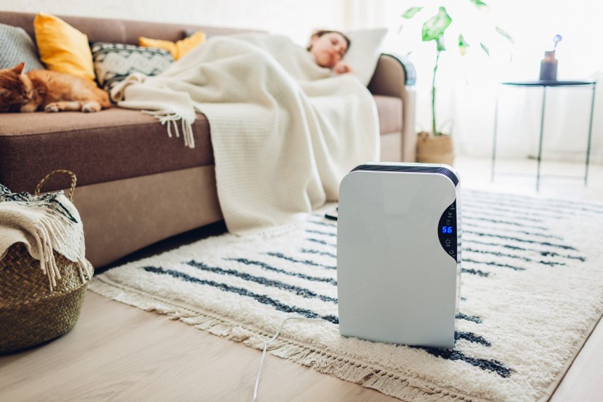 Where to Place a Dehumidifier in a House and Within the Room