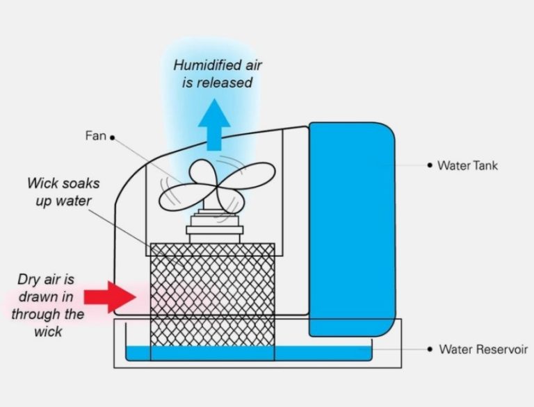 What to Put in a Humidifier to Prevent Mold A Detailed Guide [Upd. 2021]
