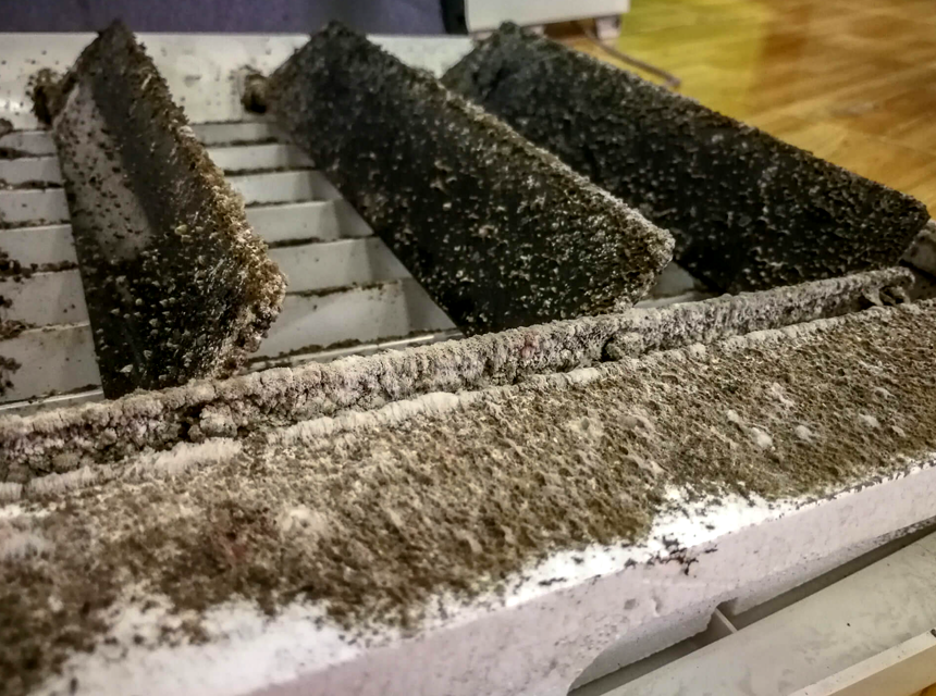 Black Mold on AC Coils: The Dangers and How to Prevent Them